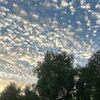 shelly_116